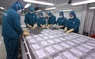 Hàng Việt nhiều cơ hội ở EU