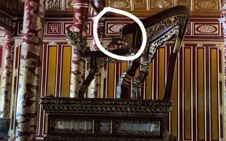 Hội đồng đánh giá tình trạng "Ngai vua triều Nguyễn" gồm những ai?