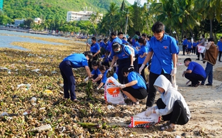 Hàng trăm người chung tay "giải cứu" Bãi Trước, TP Vũng Tàu