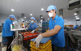 Kinh tế tư nhân đã có đòn bẩy