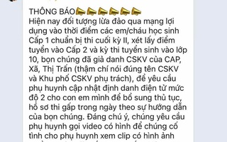 TP HCM: Nhiều trường học cảnh báo khẩn chiêu lừa đảo nhắm đến phụ huynh trong kỳ tuyển sinh đầu cấp
