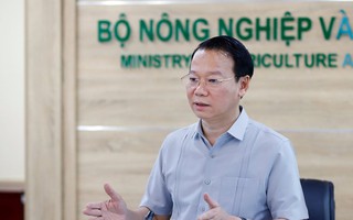Xuất khẩu sầu riêng sang Trung Quốc sụt giảm nghiêm trọng, Bộ Nông nghiệp và Môi trường họp bàn