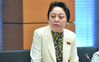 Bà Phạm Khánh Phong Lan: Báo chí vừa thông tin, đi kiểm tra đâu cũng nói "em hết lòng xe điếu"