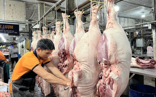 Giá heo hơi hôm nay 8-5: Diễn biến lạ của thị trường khi giá heo neo cao