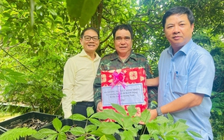 THACO quyết đưa sâm Ngọc Linh lên tầm cao