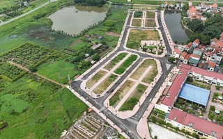 Thường trực Chính phủ yêu cầu xử lý nghiêm hành vi thổi giá, tạo sốt ảo bất động sản