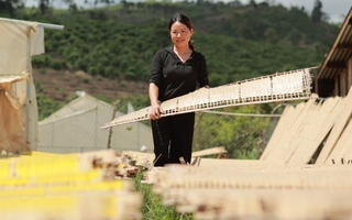 Bánh tráng Làng Tày, sầu riêng, dứa mật Đam Rông thành đặc sản của Lâm Đồng