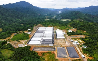 Vừa hoạt động trở lại, trại heo công suất 60.000 con/năm lại gây mùi hôi thối