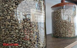 Giá cà phê hôm nay 13-6: Diễn biến trái chiều, Arabica tiếp tục giảm sâu