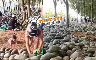 Sự thật về clip hàng tấn dưa hấu ở Bình Dương bị thương lái từ chối, người dân ăn không xuể
