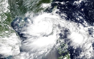 Năm 2025 có bao nhiêu cơn bão đổ bộ vào Việt Nam?