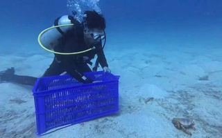 Nỗ lực tái tạo nguồn lợi thủy sản