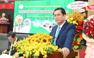 VRG sẽ đầu tư thêm 70.000 ha cao su tại Lào, Campuchia