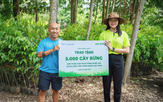 Hành trình phủ xanh 5 cánh rừng của doanh nghiệp trẻ