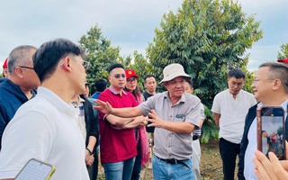 HAGL tuyển gấp 100 kỹ thuật viên sầu riêng với nhiều đãi ngộ hấp dẫn
