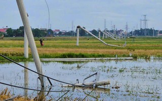 Cột điện đường dây 22 kV gãy đổ như "ngả rạ" sau mưa dông ở Thanh Hóa