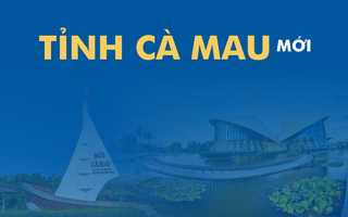 Toàn cảnh xã, phường, diện tích của tỉnh Cà Mau mới