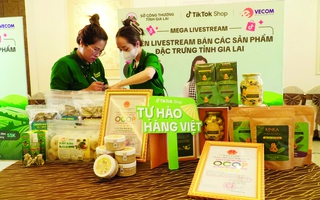 Sở Công Thương Gia Lai đưa hàng Việt lên ngôi
