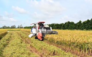 Sóc Trăng: Nhiều giải pháp thúc đẩy tăng trưởng kinh tế của tỉnh