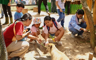 Lạc vào thế giới của Capybara, Meerkat và những “tân binh” siêu dễ thương tại Thảo Cầm Viên