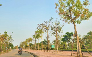 Quảng Bình: Cán bộ bị kỷ luật từ 2020 đến nay sẽ không được bổ nhiệm cao hơn