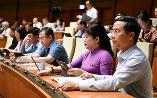 Người được bổ nhiệm trong cơ quan Nhà nước "chỉ có một quốc tịch Việt Nam"