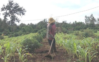 Xin dùng ngân sách để bồi thường 6 giáo viên bị cho nghỉ việc trái quy định
