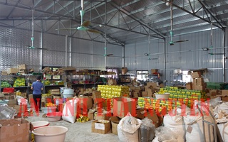 Bắt chủ xưởng giả mạo nhãn hiệu “chè Thái Nguyên”