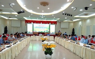 254 người từ Tây Ninh về TP Tân An làm việc sau sáp nhập với Long An