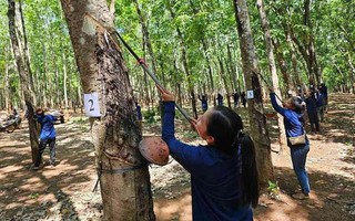 Dakruco đẩy mạnh chăm lo đời sống của người lao động