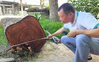 CLIP: Cận cảnh các cây gỗ trong trụ sở bị cưa bán trước khi sáp nhập