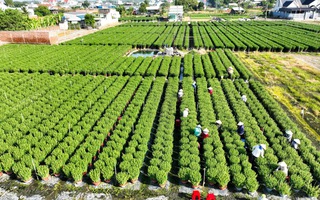 Bứt phá trong xây dựng nông thôn mới ở Bà Rịa - Vũng Tàu