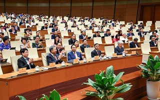 TP HCM, Đà Nẵng, Cần Thơ, Khánh Hòa tiếp tục được áp dụng cơ chế đặc thù