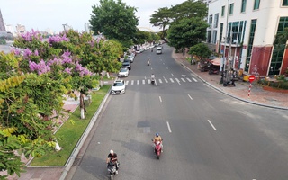 Đà Nẵng vừa điều chỉnh giá đất lần 2 trong năm, mức cao nhất vượt 340 triệu đồng/m²
