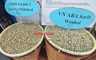 Giá cà phê hôm nay 3-6: Thủng mốc 4.500 USD/tấn