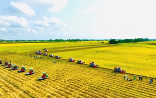 102 trung tâm hành chính xã, phường của tỉnh Đồng Tháp