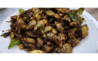Nam thanh niên nguy kịch sau khi ăn ve sầu