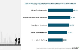 Xây dựng môi trường làm việc gắn bó