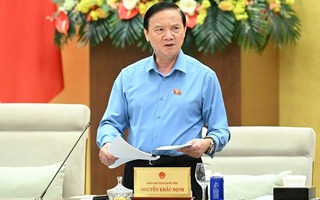 Có đại biểu Quốc hội chuyên trách giữ đến 3-4 chức danh, không rõ bổ nhiệm khi nào