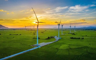 Chưa vội xây dựng 2 "thủ phủ" điện sạch