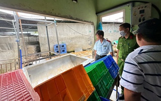 Bộ Công an vào cuộc vụ C.P. Việt Nam bị tố bán thịt heo bệnh