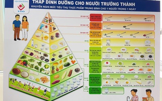 Việt Nam lần đầu có 6 tháp dinh dưỡng theo tuổi