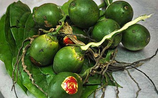 Tiếng Việt giàu đẹp: Ăn, xơi, thời, thụ
