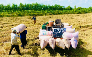 Thoát khỏi vòng luẩn quẩn