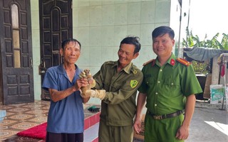 Linh trưởng Sách đỏ bất ngờ "ghé thăm" vườn nhà người dân ở Quảng Bình