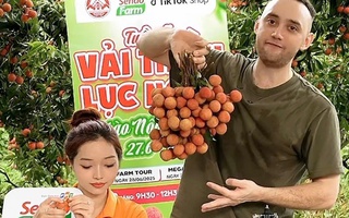 Vải thiều dội chợ rớt giá, đưa lên livestream lại "cháy hàng"