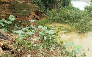 Tuyến đê tả Cầu, Bắc Ninh xảy ra sự cố, Bộ Nông nghiệp và Môi trường đề nghị hộ đê mùa lũ