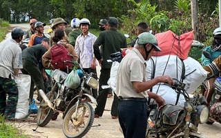 Cả ngàn người ở Đà Nẵng vào rừng nhặt thứ hạt rơi từ trên trời xuống, thu tiền triệu