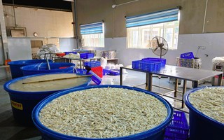 Phát hiện gần 7 tấn chân gà ngâm chất tẩy trắng