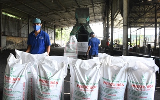 Những bước đi chiến lược của ngành cao su (*): Xanh hóa chuỗi hành trình